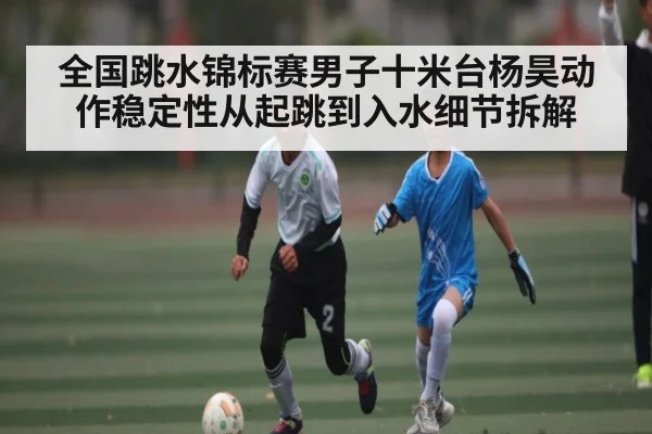 全国跳水锦标赛男子十米台杨昊动作稳定性从起跳到入水细节拆解（kaiyun）